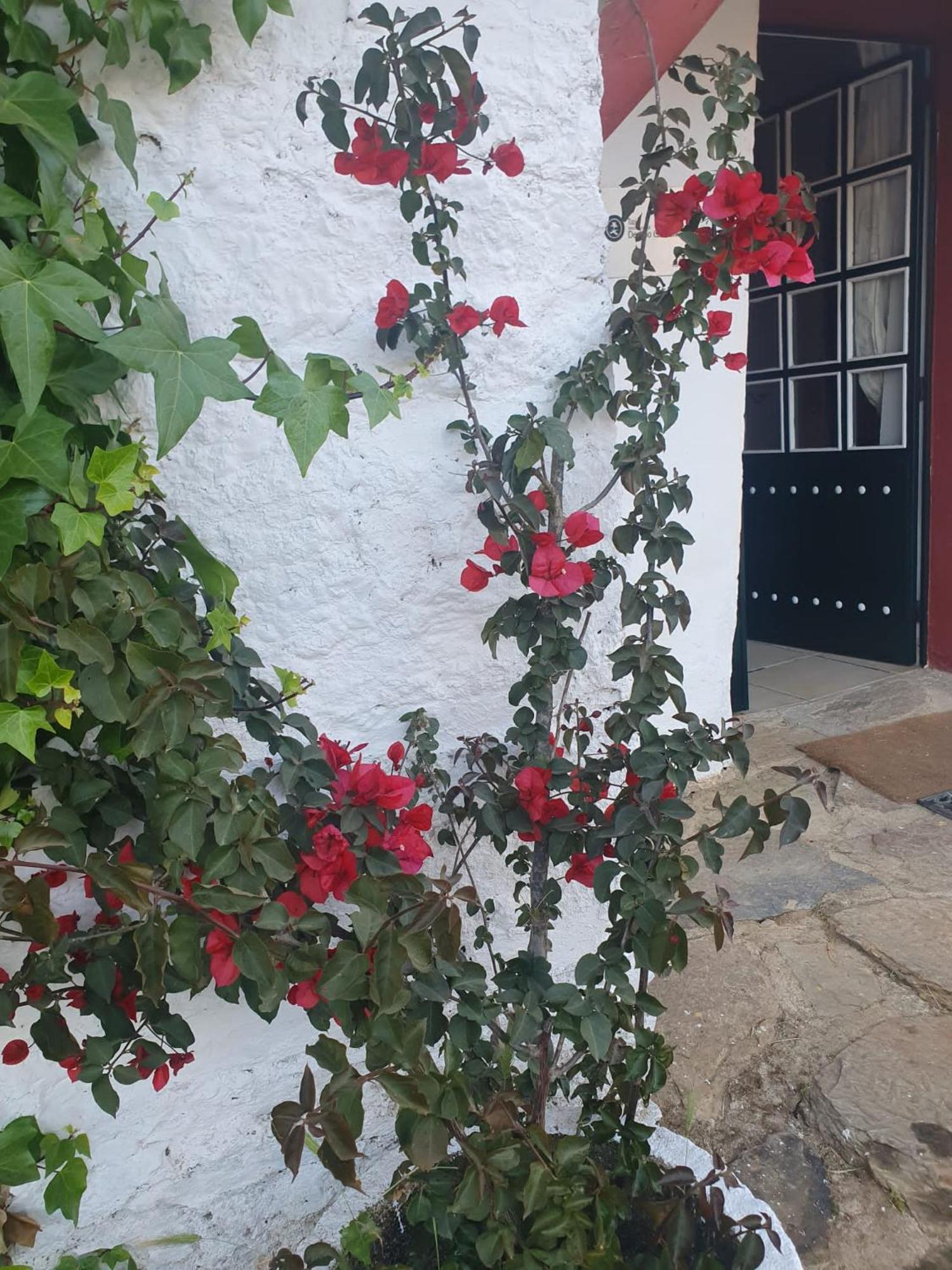 Hotel Rural El Vaqueril Navas del Madroño Exterior foto